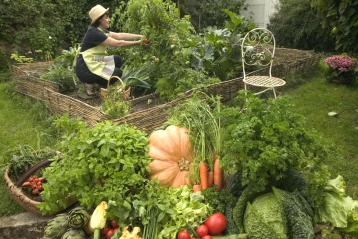 Lire :Le potager, c'est la santé