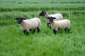 Lire :L'agriculture régénératrice : l'agriculture de demain ?