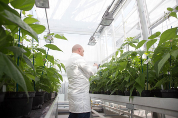 Lire :Crispr Cas 9 : loué en médecine, décrié en sélection végétale ?