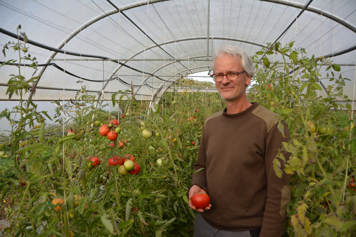 Samuel Gohier, maraîcher et producteur de semences bio : « Chaque agriculteur devrait multiplier au moins une variété pour maintenir la diversité des populations. » © Sabine Huet