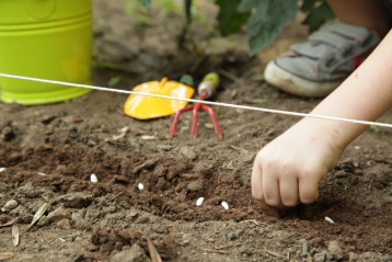 Lire :Semences : la qualité côté jardin